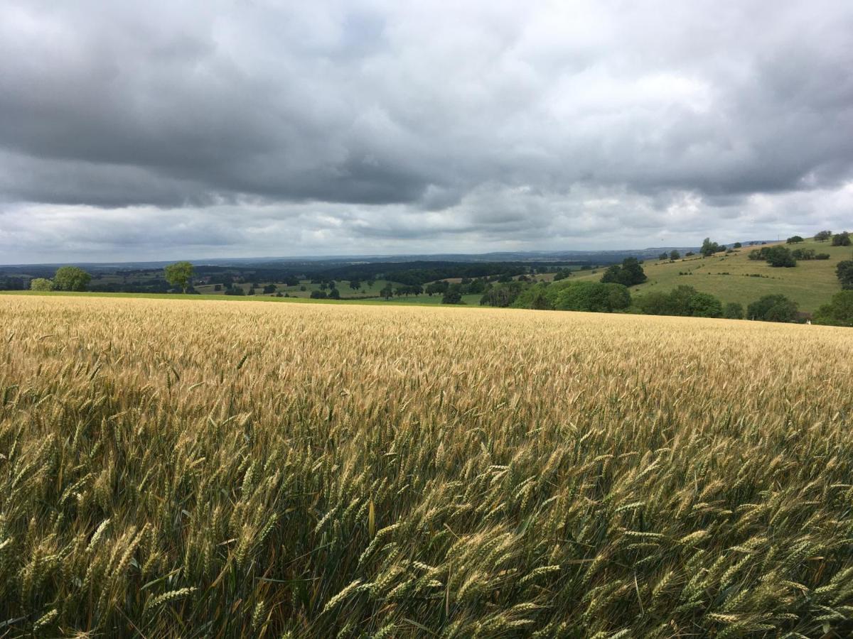 Au Cheval Bleu Bed & Breakfast Fontenay-près-Vézelay Dış mekan fotoğraf